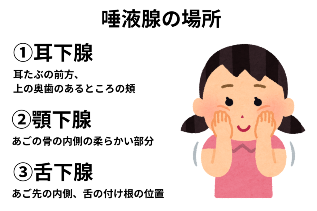 唾液腺マッサージの説明