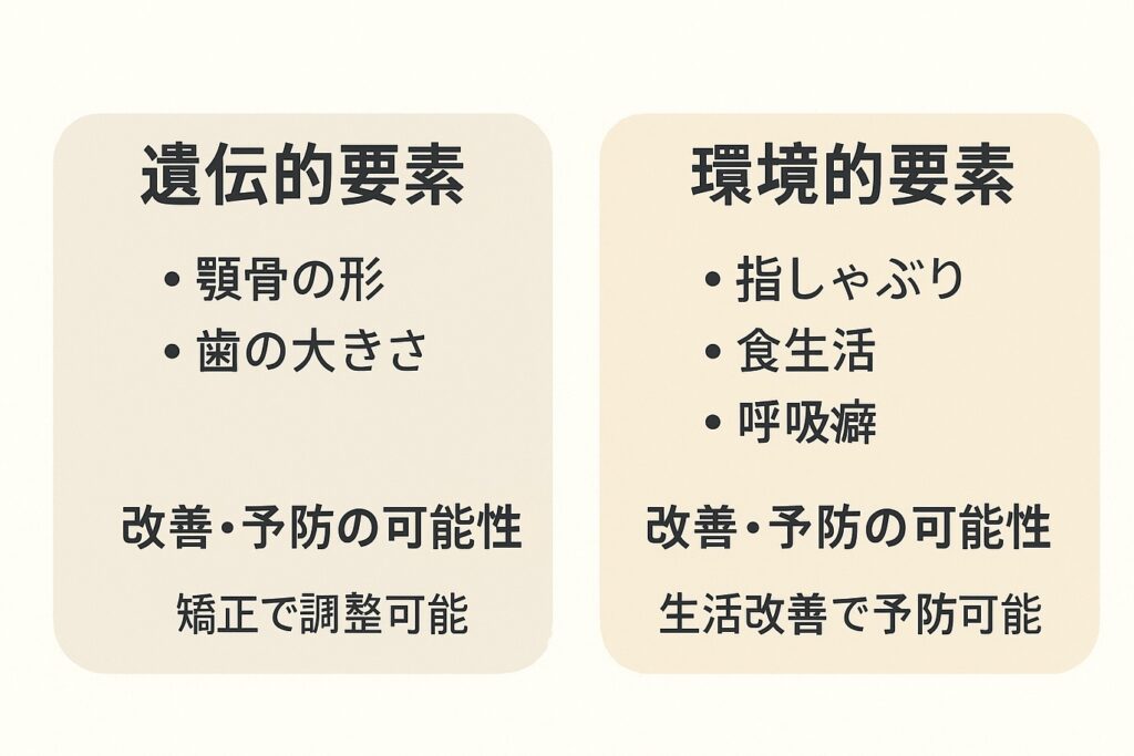 歯並びの遺伝的要素と環境的要素