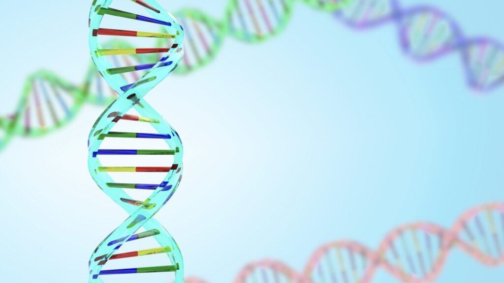 遺伝のイメージ画像