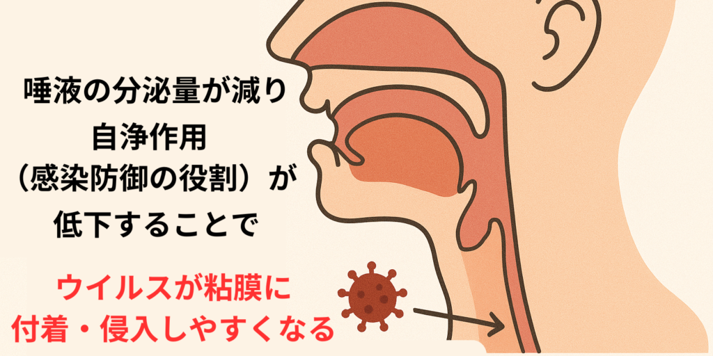 唾液の分泌が減ることで起こりうるリスク