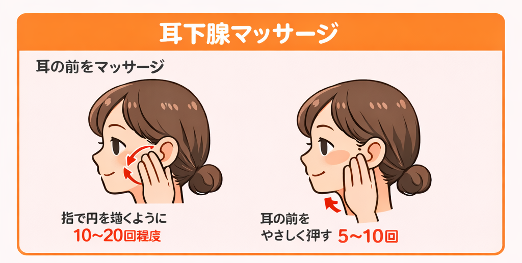 耳下腺マッサージのやり方