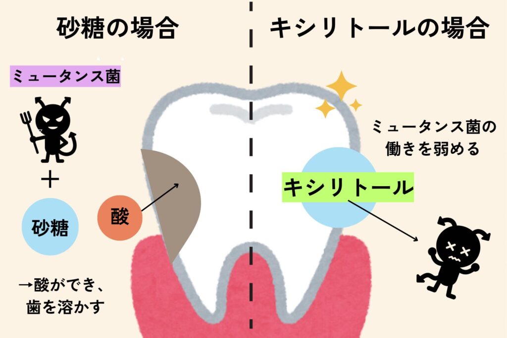 砂糖とキシリトールの働きの違い