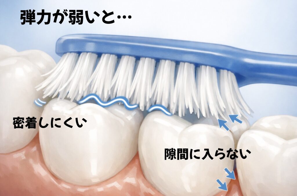 歯ブラシの弾力が弱くなっている