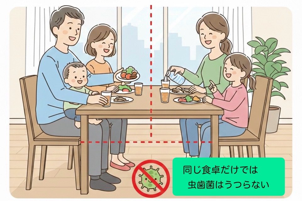 同じ食卓でもむし歯菌はうつらない