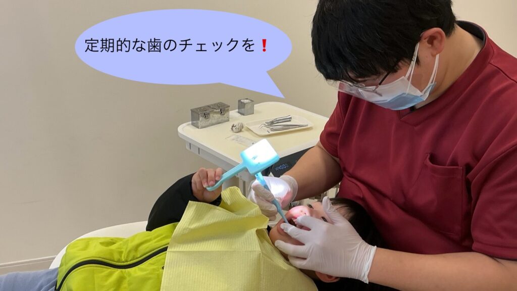 小児歯科医による歯のチェック