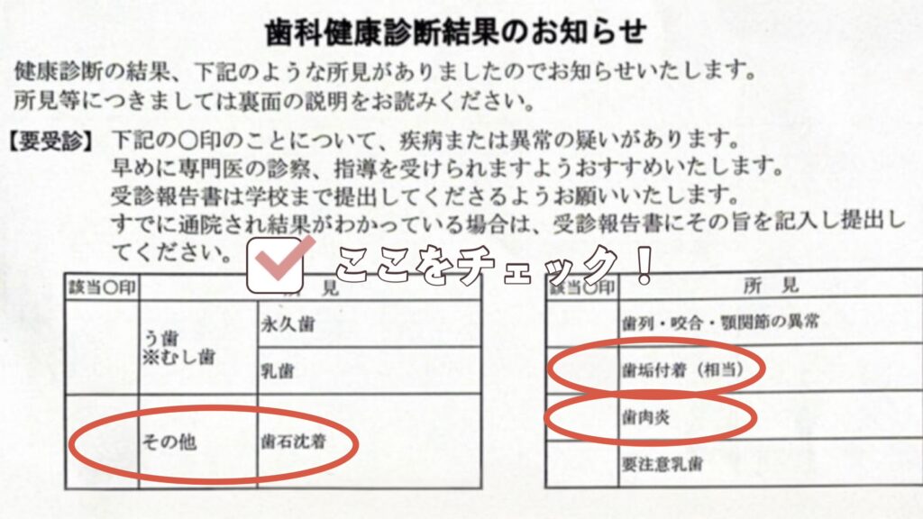 歯ぐきの状態の見方