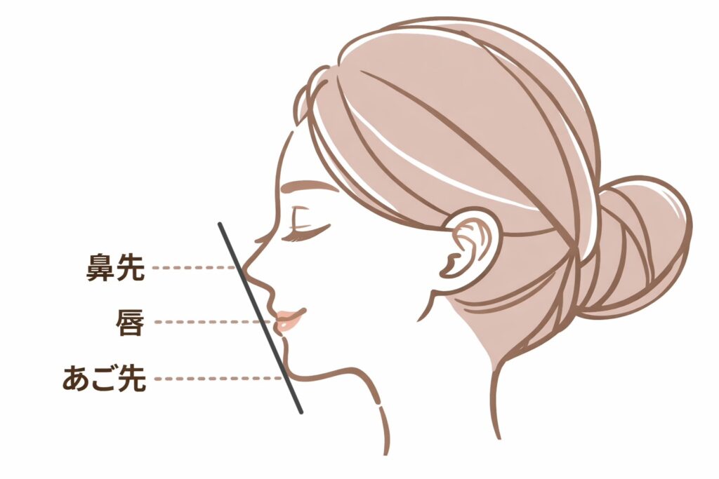 Eラインのイラスト