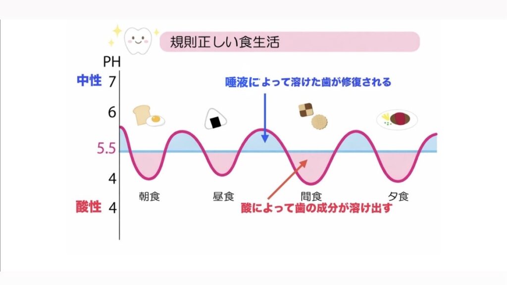 規則正しい食生活を送った場合の口腔内