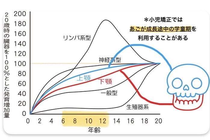 スキャモンの発育曲線