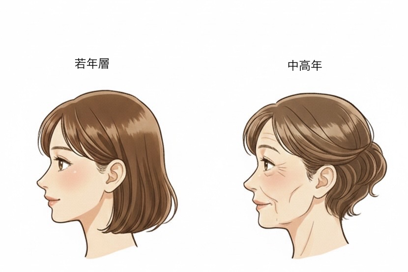 若年層、中高年層の横顔