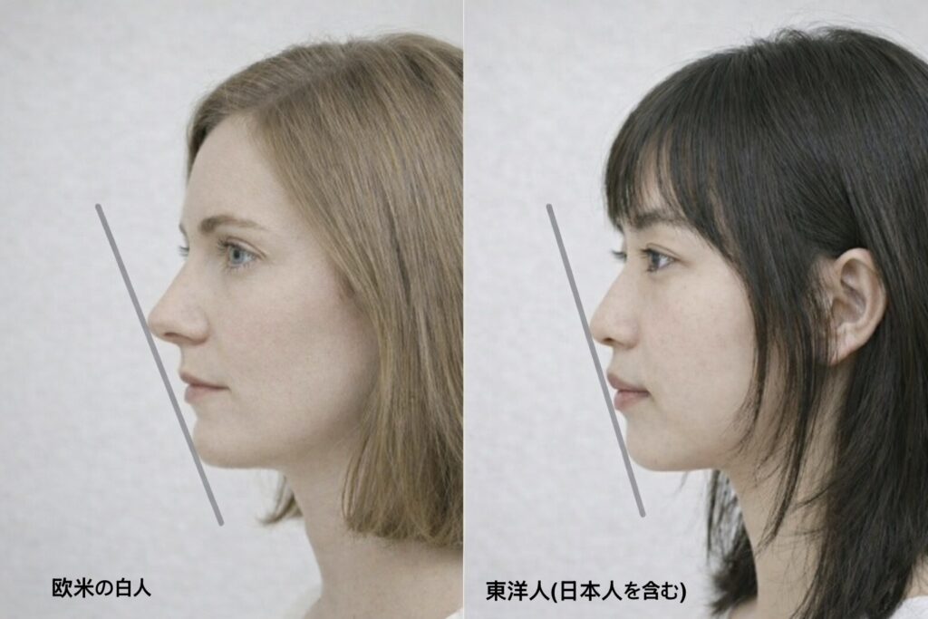 欧米の白人と東洋人の比較