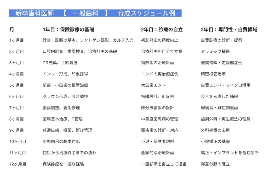 新卒歯科医師の育成スケジュール例