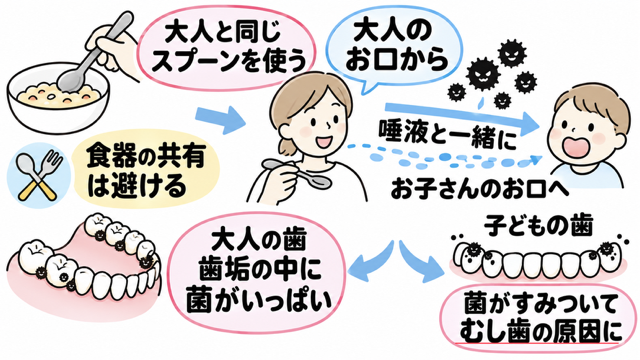 むし歯菌がうつる経路